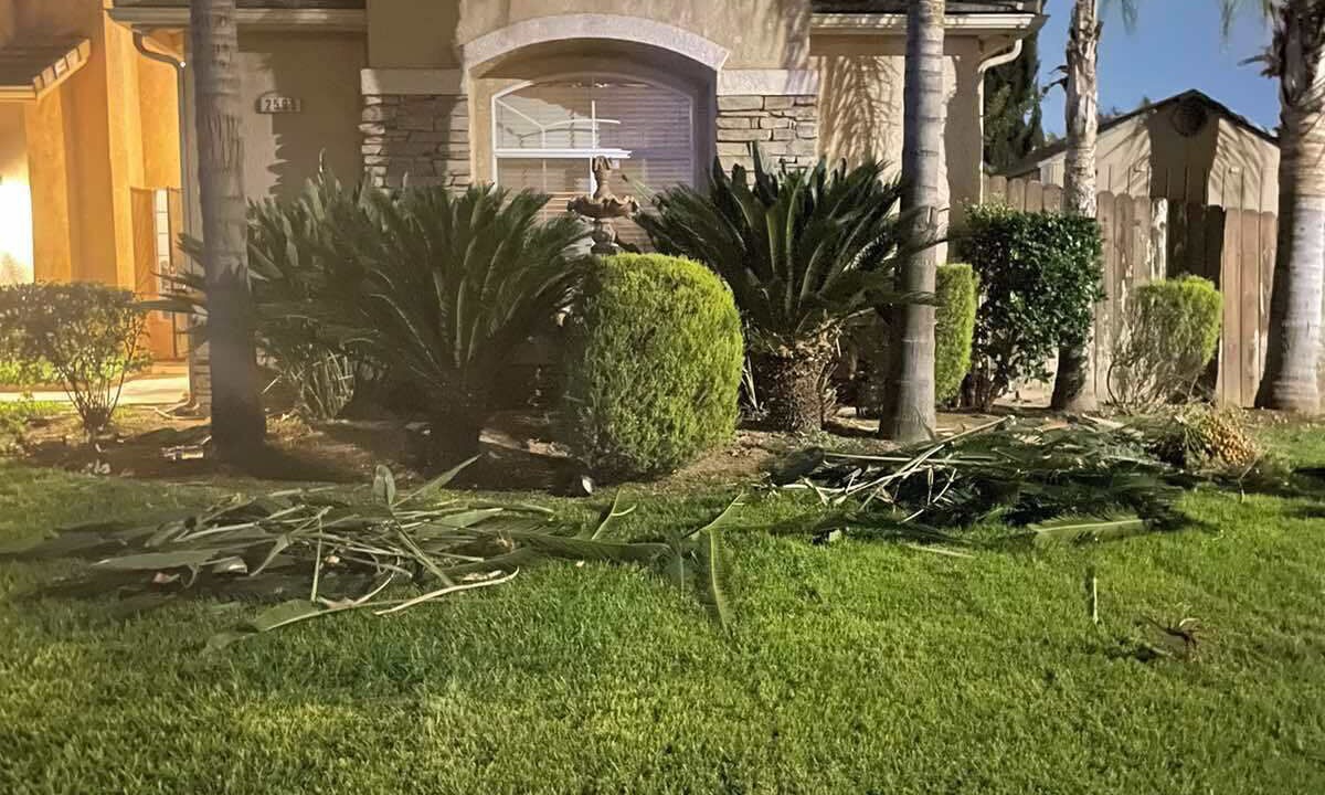 Photo of Outdoor in Raisin