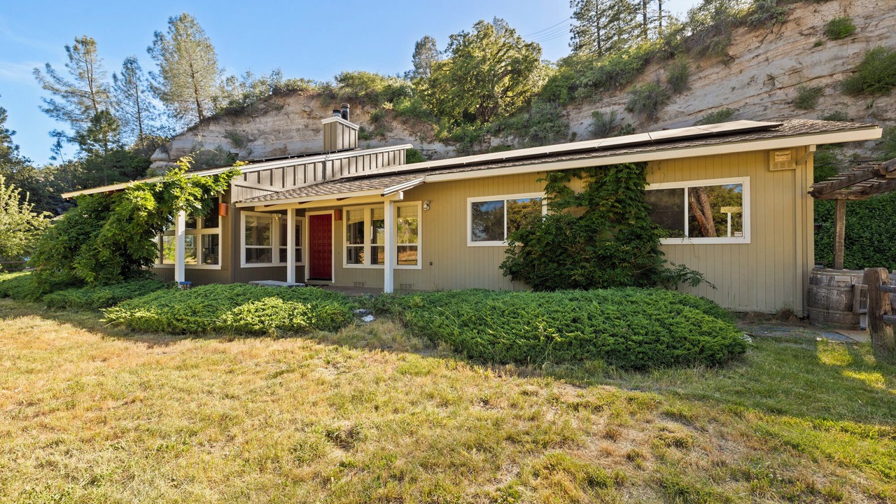 Photo of Outdoor in Forest Meadows