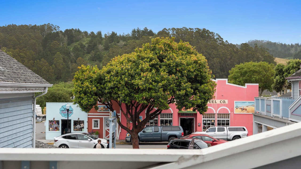 Photo of Others in Half Moon Bay