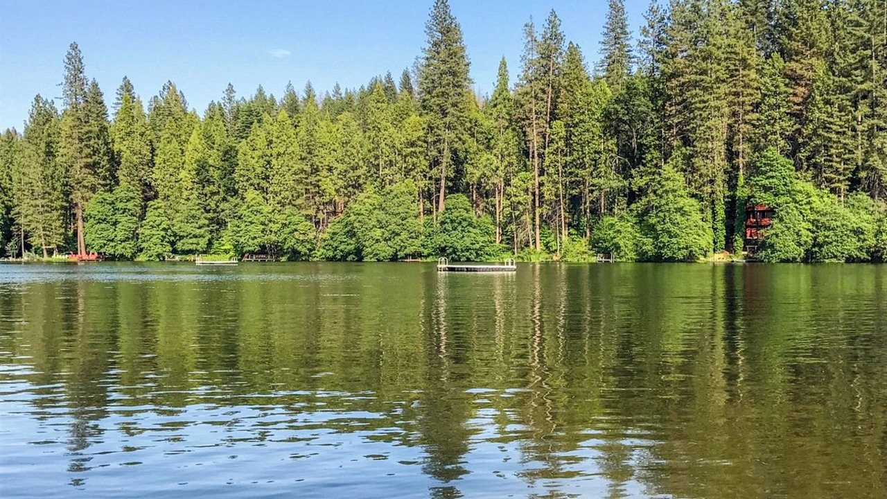 Photo of Outdoor in Twain Harte