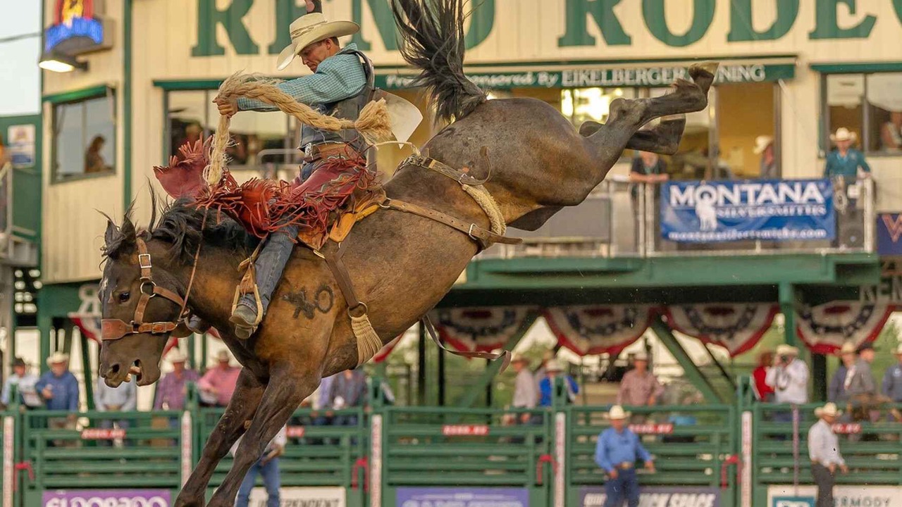 Photo of Others in Reno