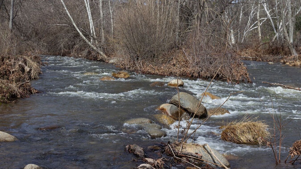 Photo of Others in Kaweah