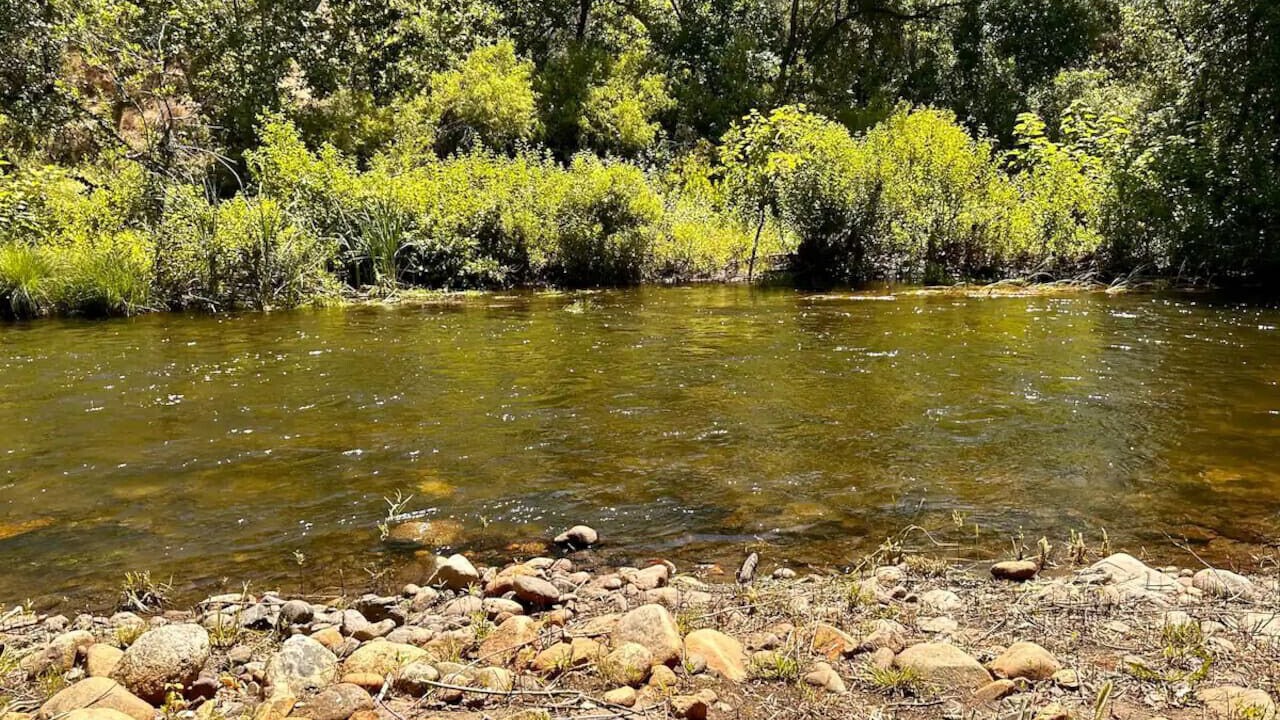 Photo of Others in Kaweah