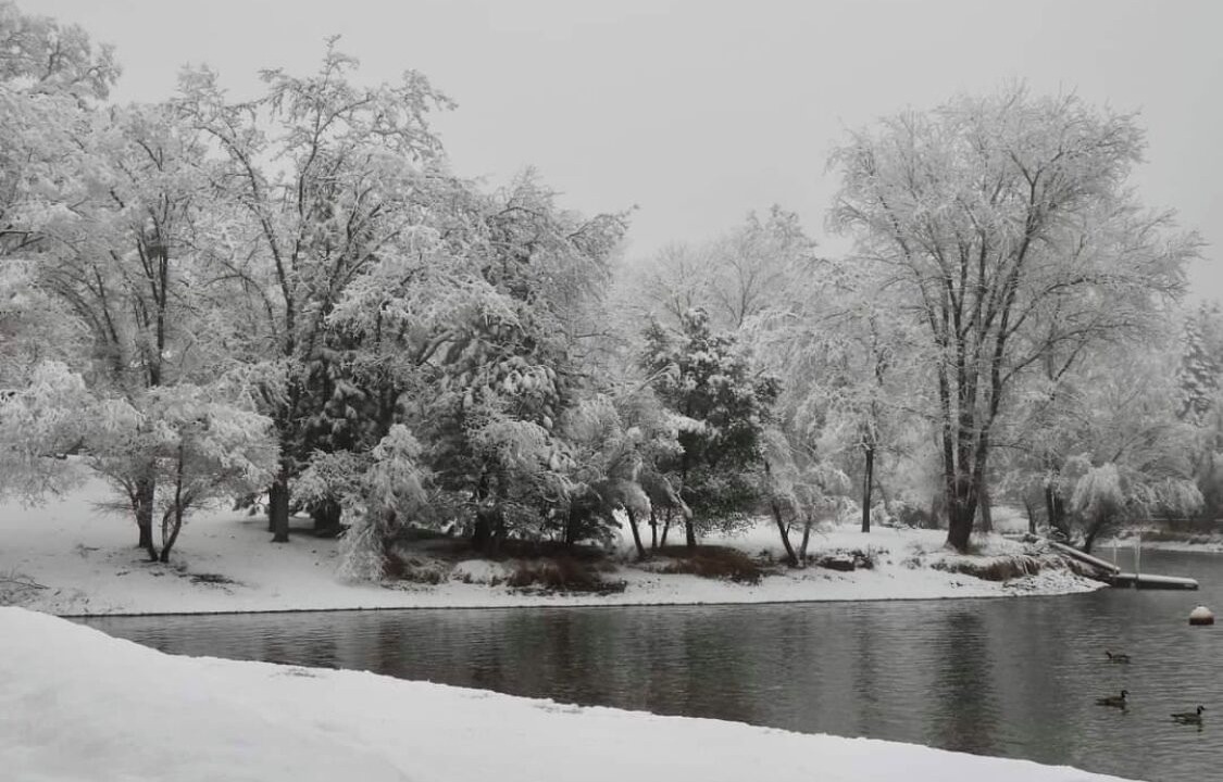 Photo of Others in Groveland
