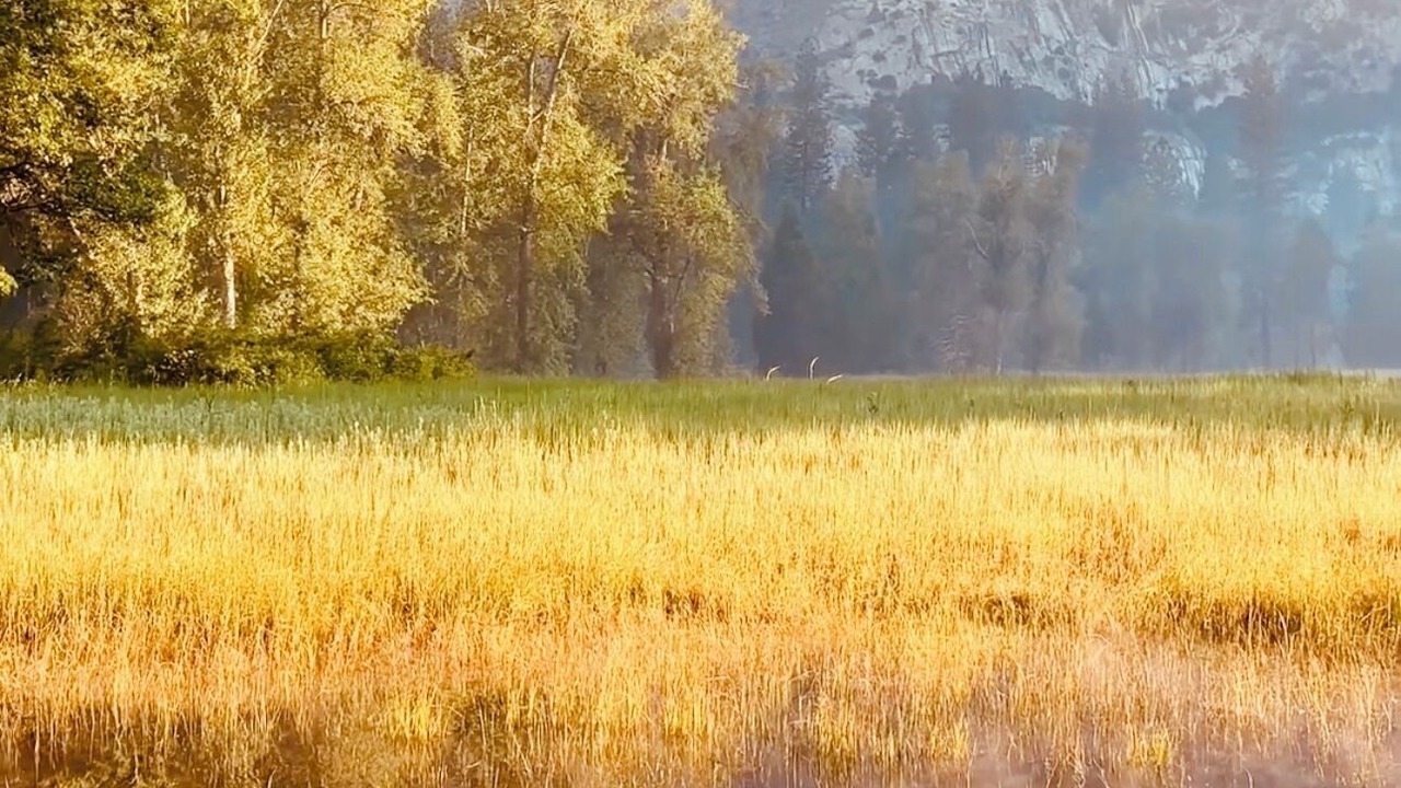 Photo of Others in Groveland