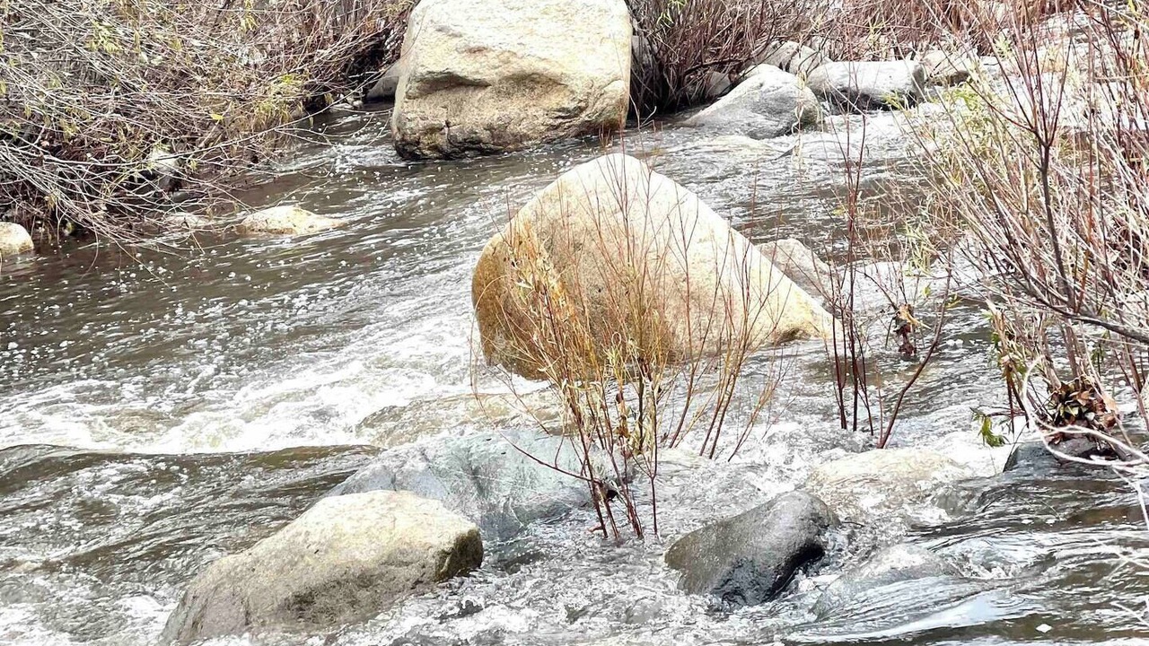 Photo of Others in Three Rivers