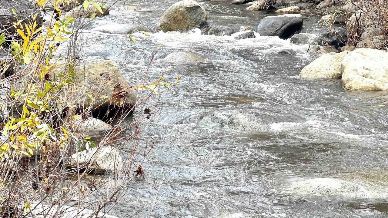 Photo of Others in Three Rivers