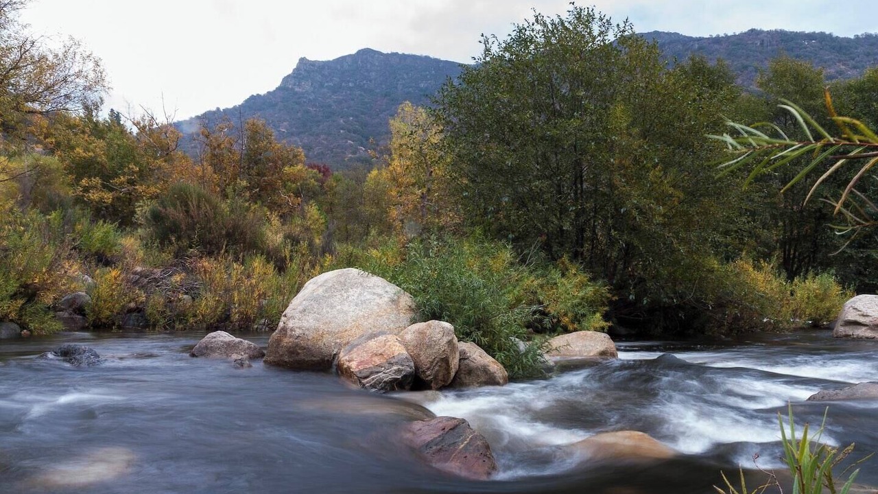 Photo of Others in Three Rivers
