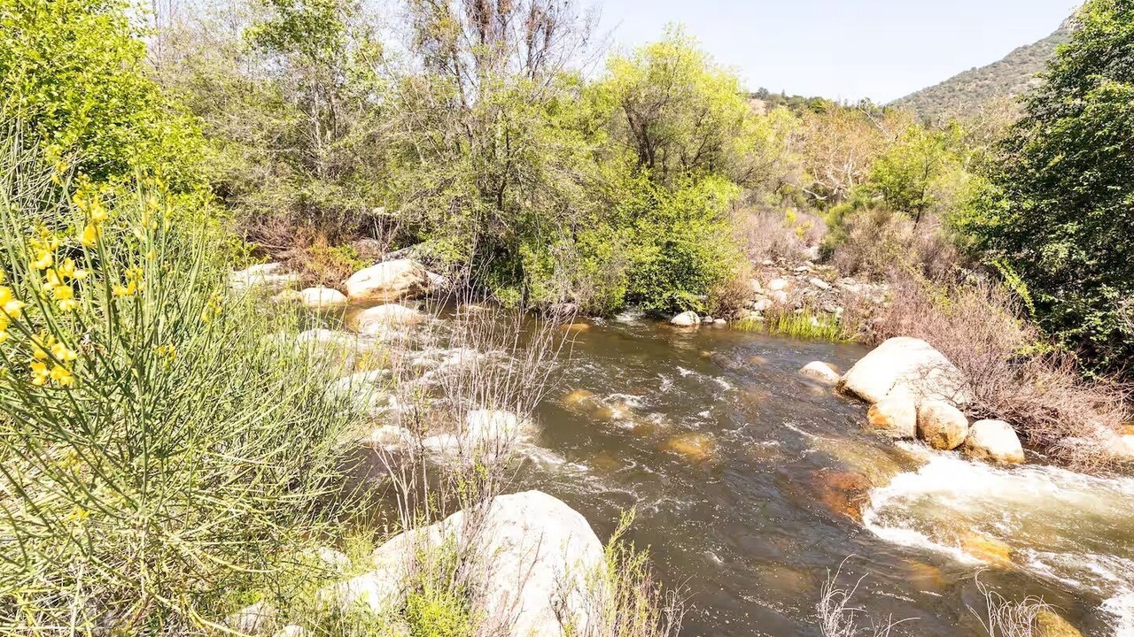 Photo of Others in Three Rivers