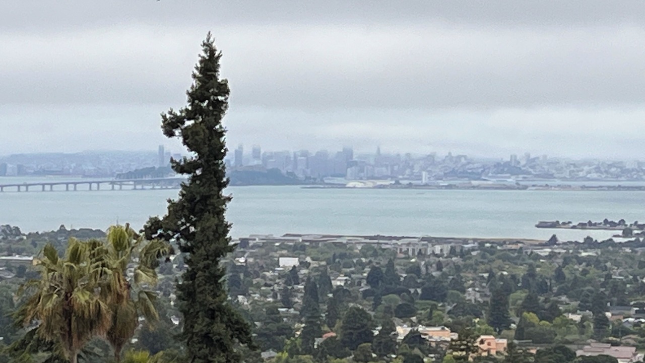 Photo of Others in Berkeley Hills