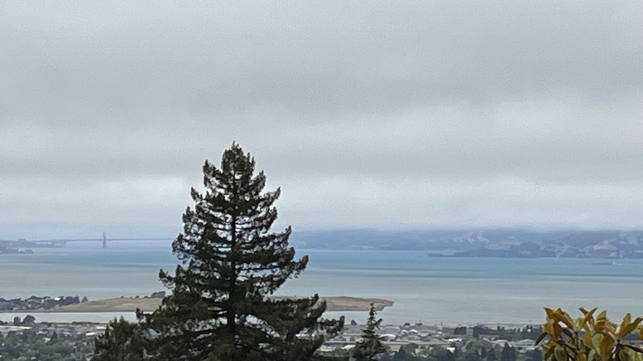 Photo of Others in Berkeley Hills