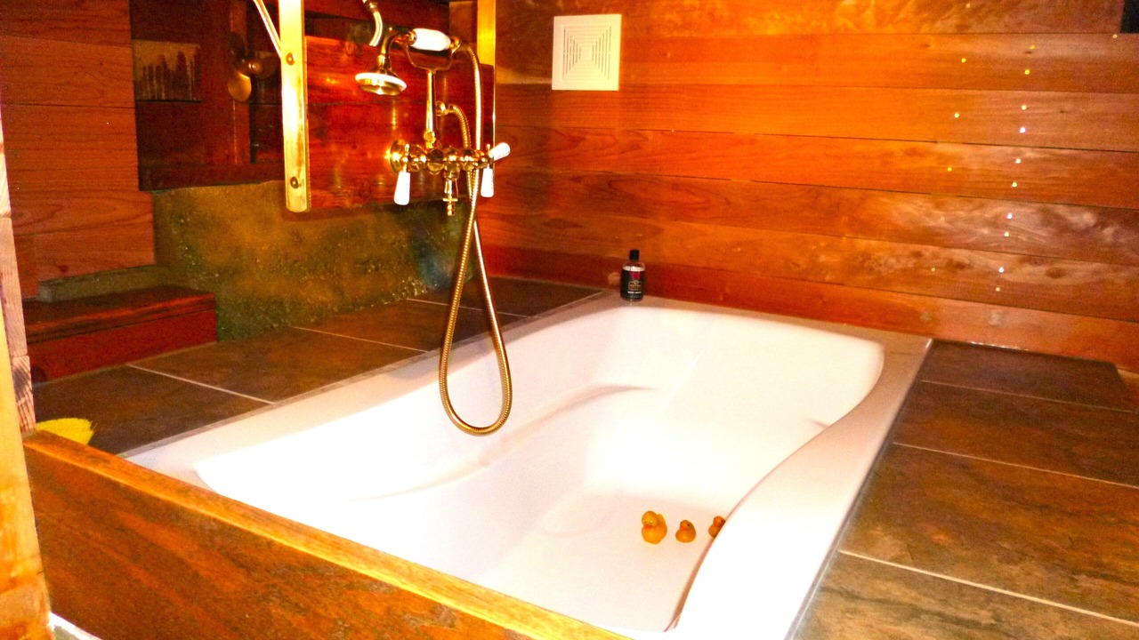 Photo of Bathroom in Berkeley Hills