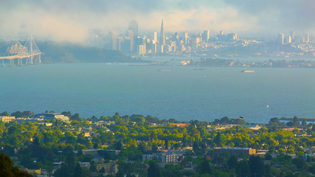 Photo of Others in Berkeley Hills