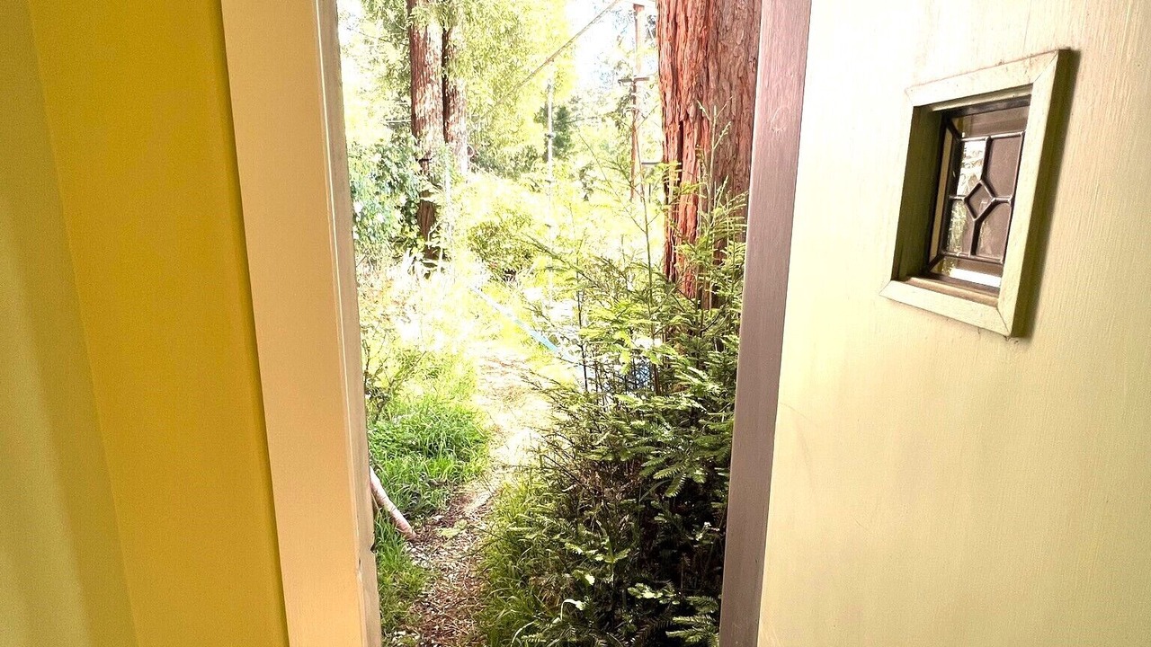 Photo of Others in Berkeley Hills
