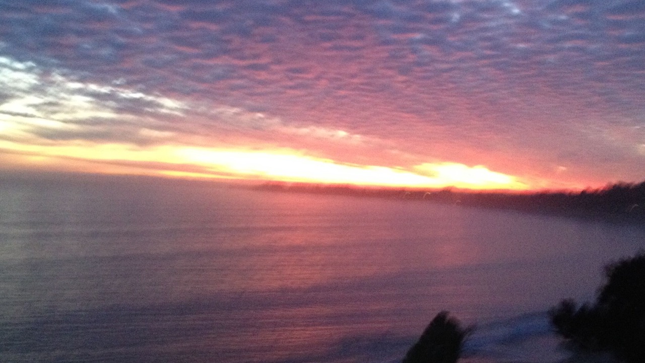 Photo of Others in Aptos