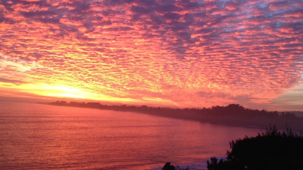 Photo of Others in Aptos