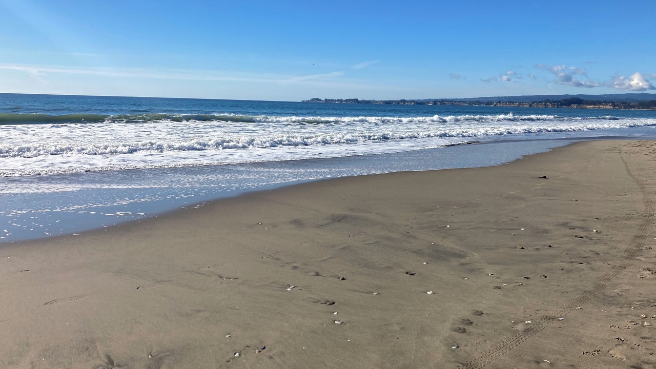 Photo of Others in Aptos