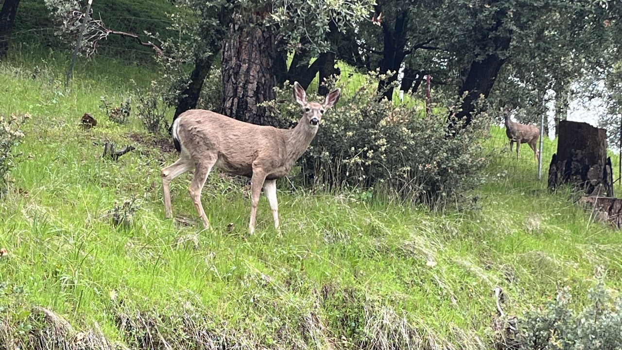Photo of Others in Oakhurst