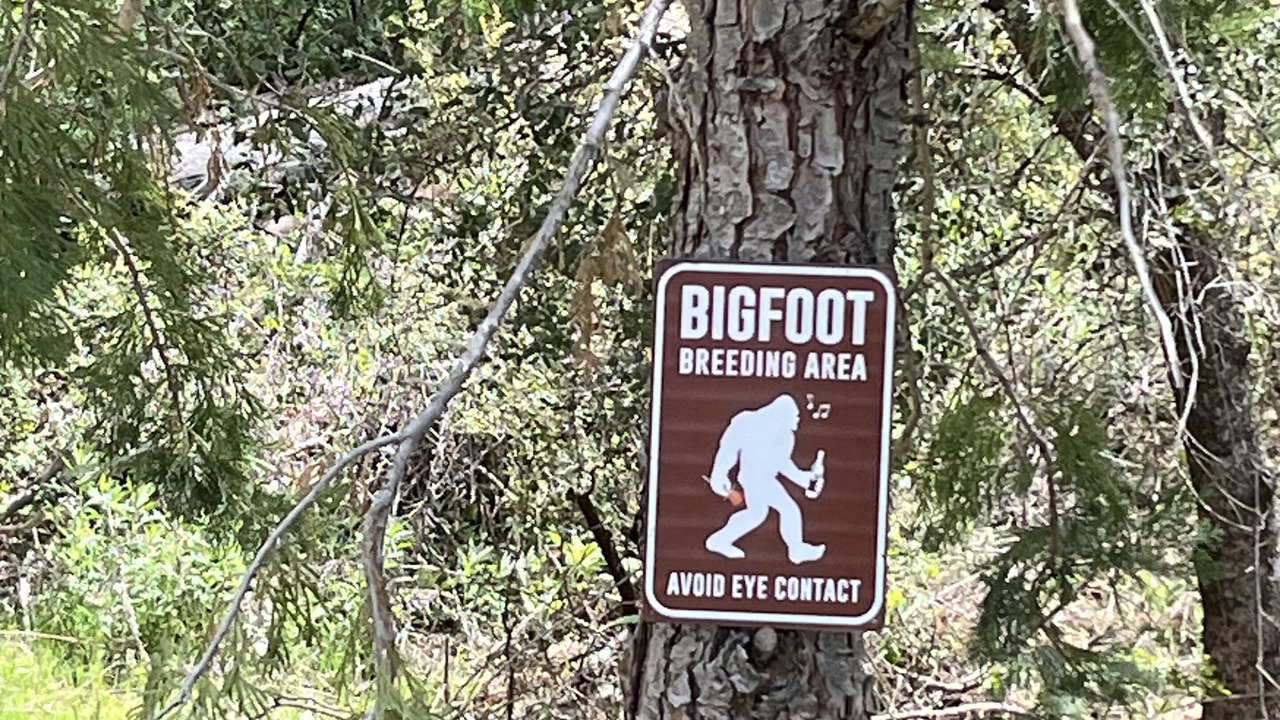 Photo of Outdoor in Oakhurst