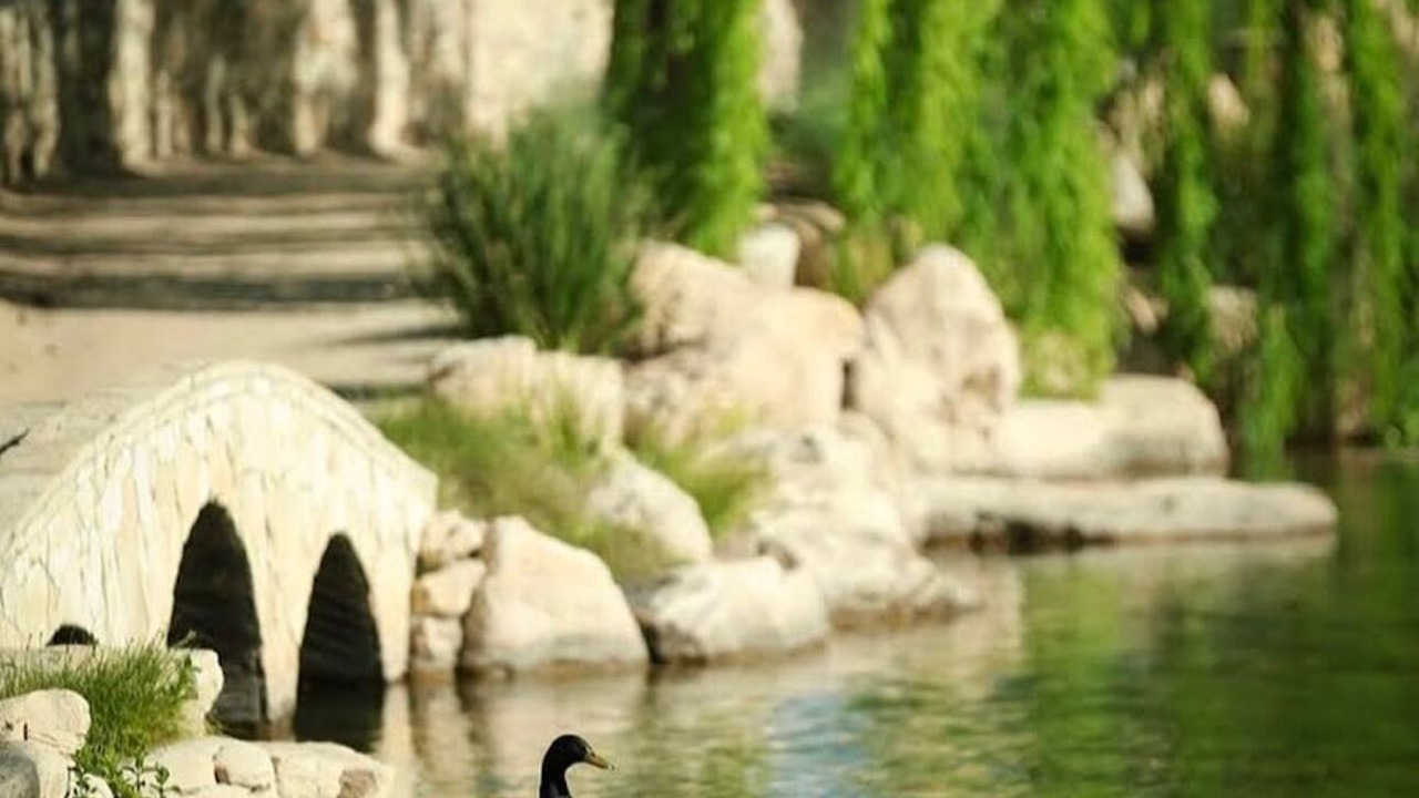Photo of Others in Paso Robles