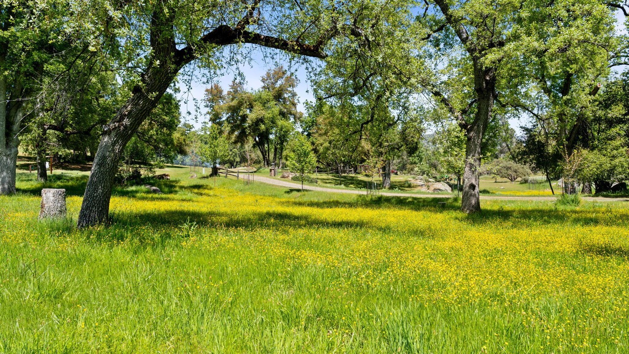 Photo of Others in Mariposa