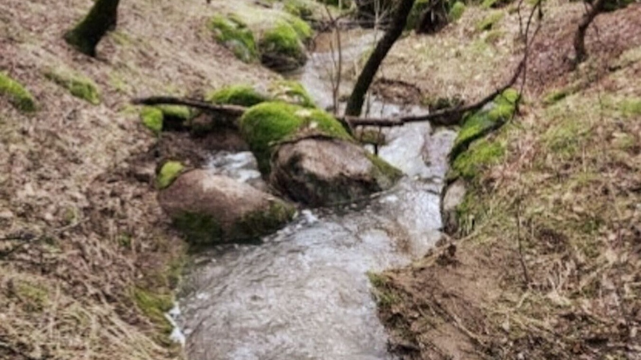 Photo of Others in Oakhurst