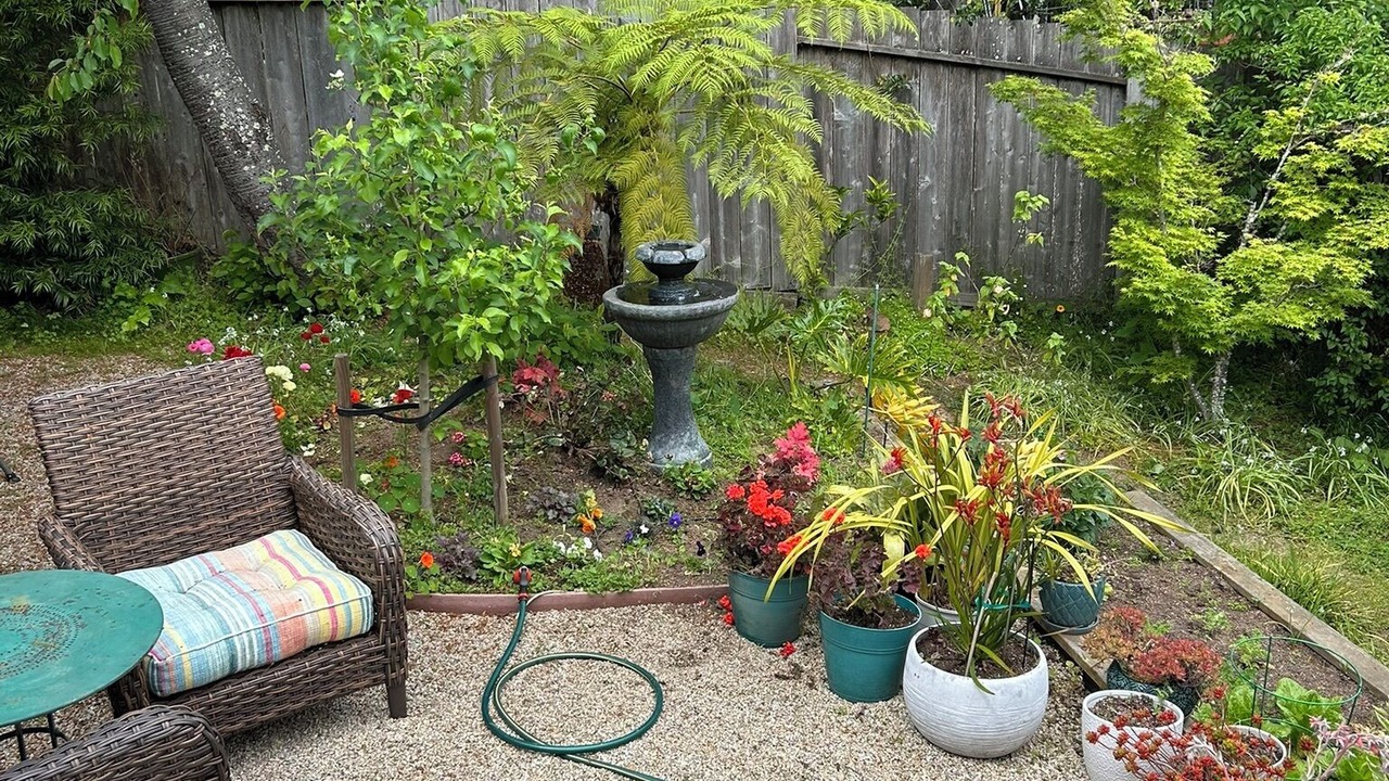 Photo of Outdoor in San Rafael