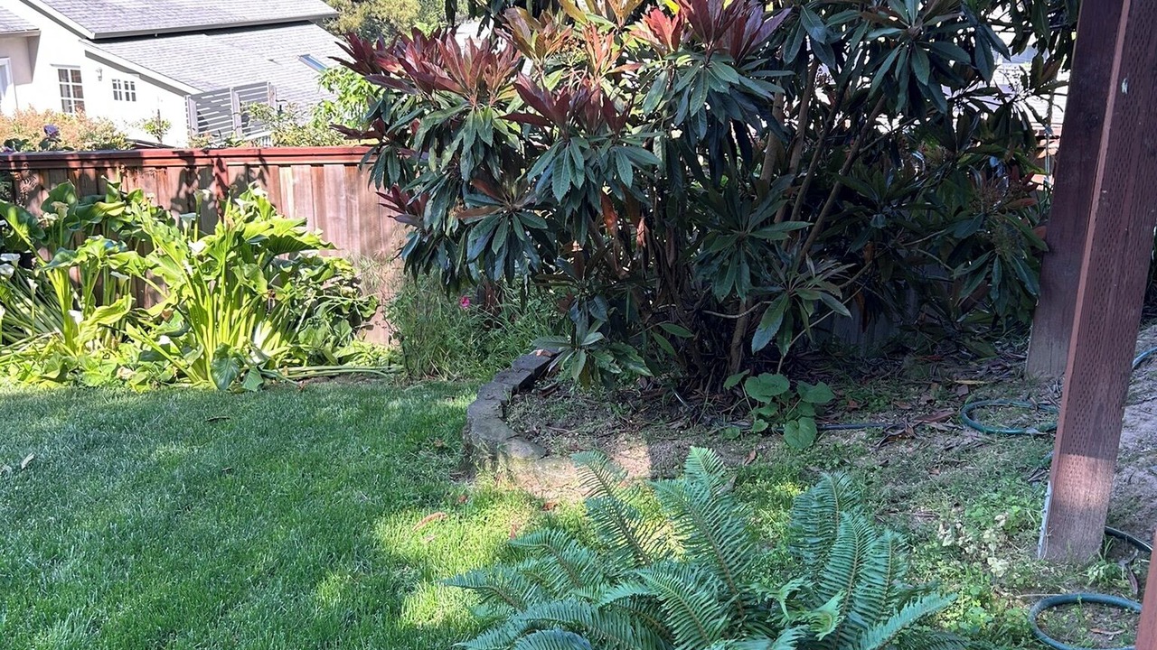 Photo of Outdoor in San Rafael