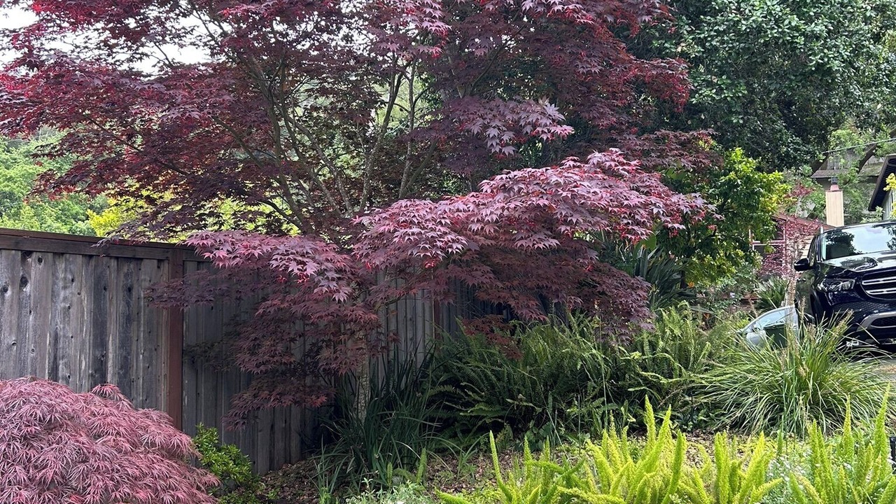 Photo of Outdoor in San Rafael