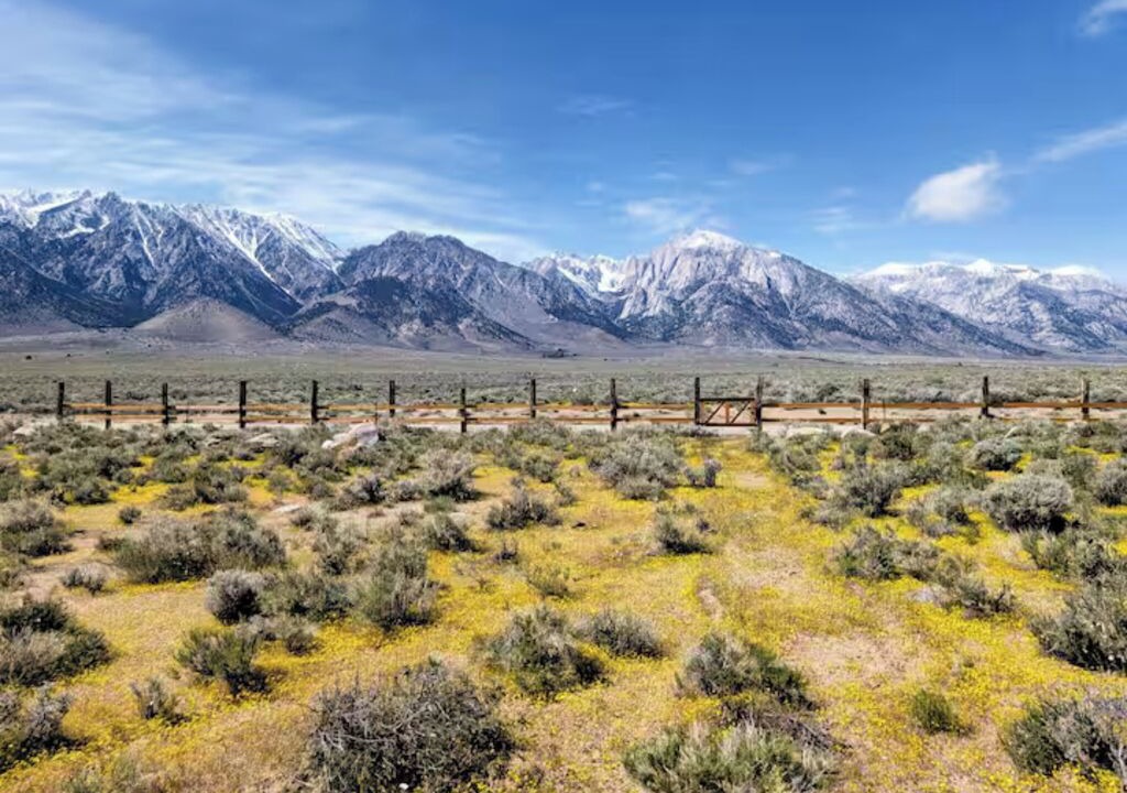 Photo of Others in Lone Pine
