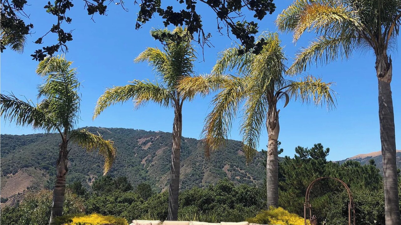 Photo of Outdoor in Carmel Valley