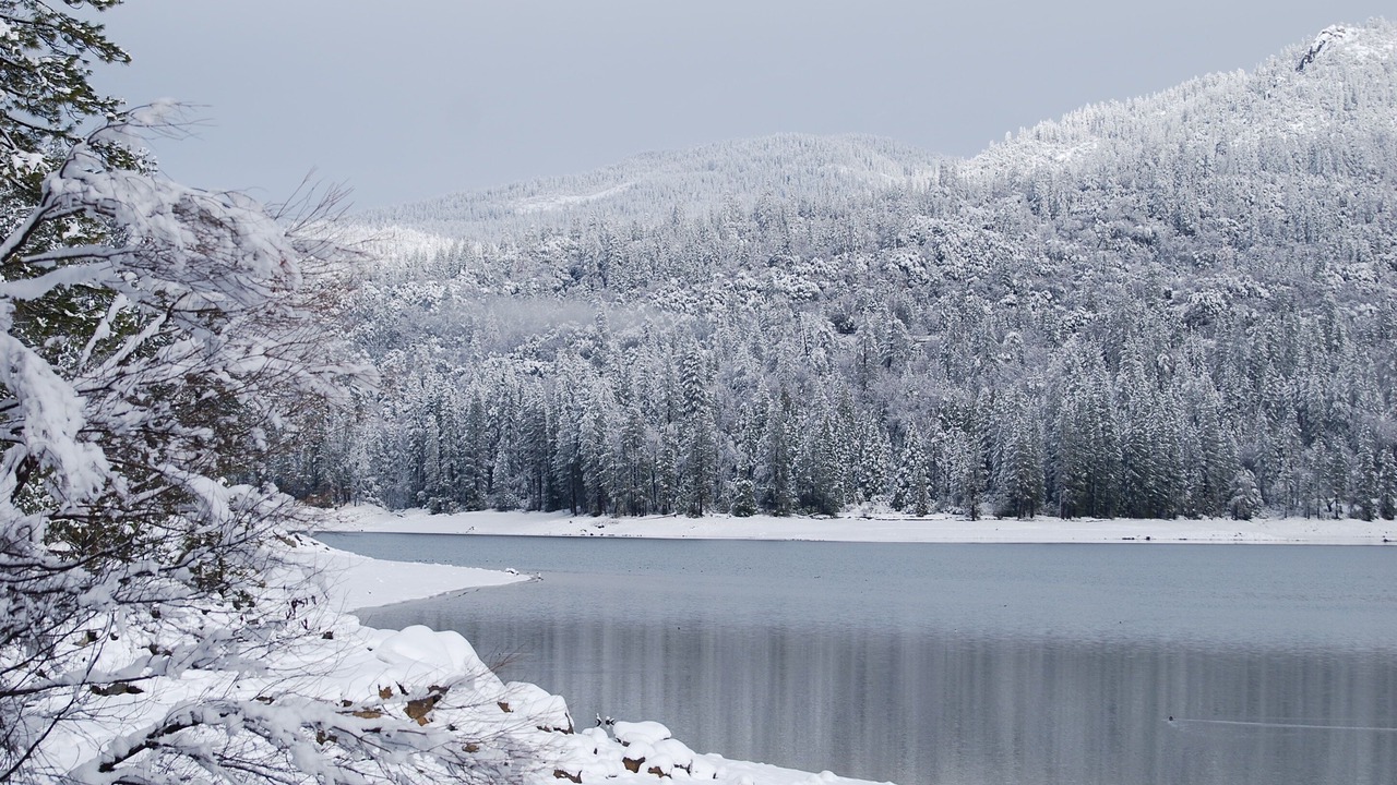 Photo of Others in Bass Lake