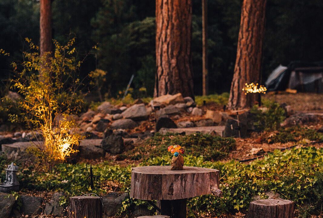 Photo of Outdoor in Oakhurst