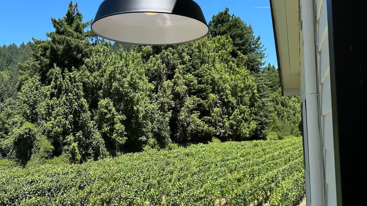 Photo of Outdoor in Guerneville