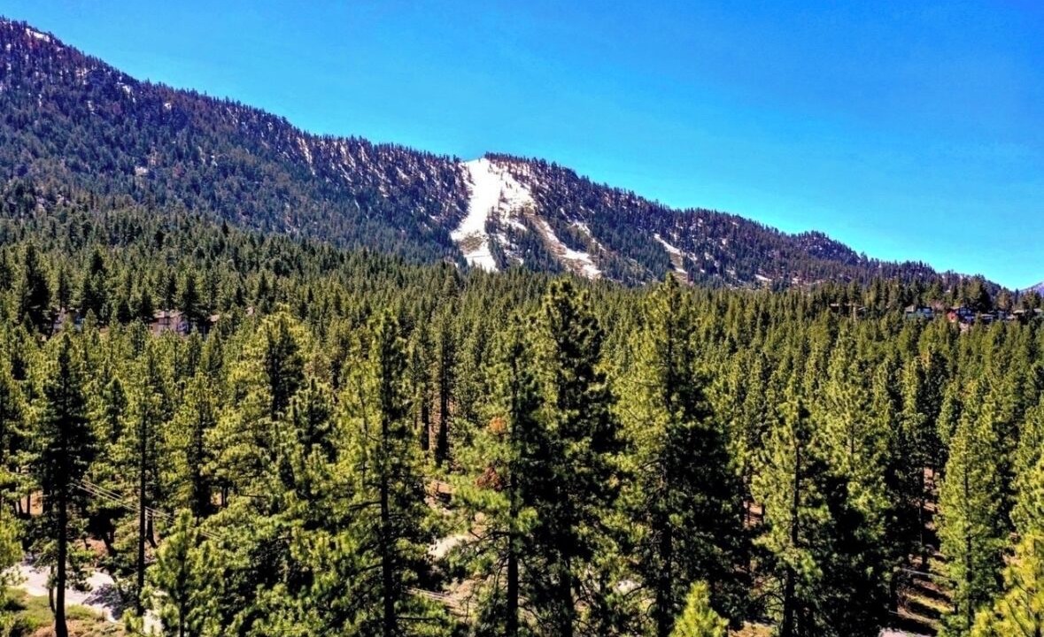 Photo of Others in South Lake Tahoe