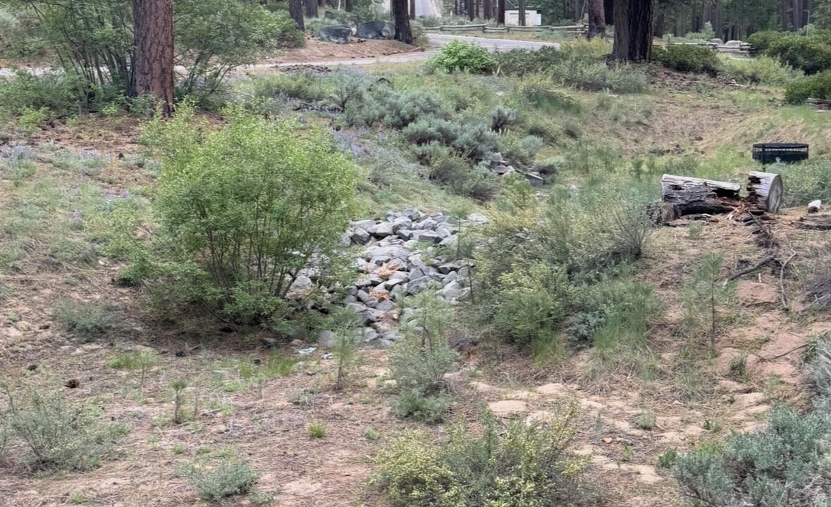 Photo of Others in South Lake Tahoe