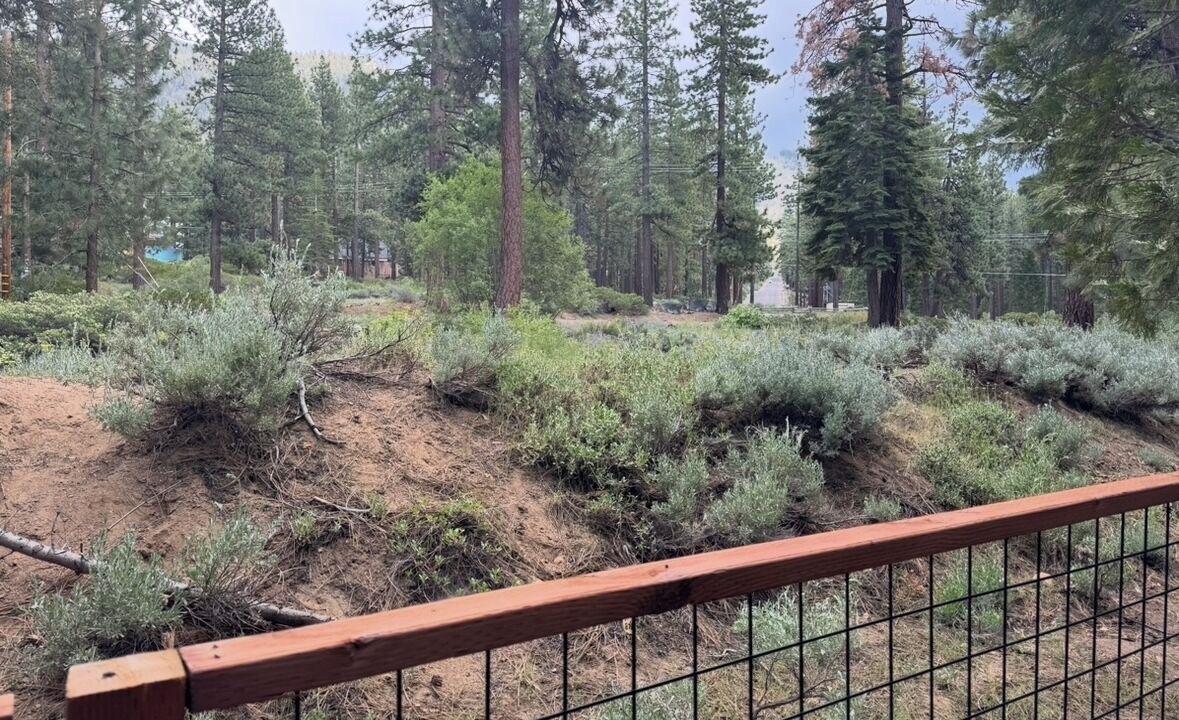 Photo of Outdoor in South Lake Tahoe
