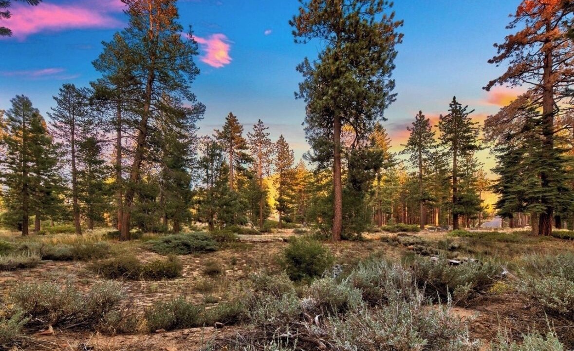 Photo of Others in South Lake Tahoe