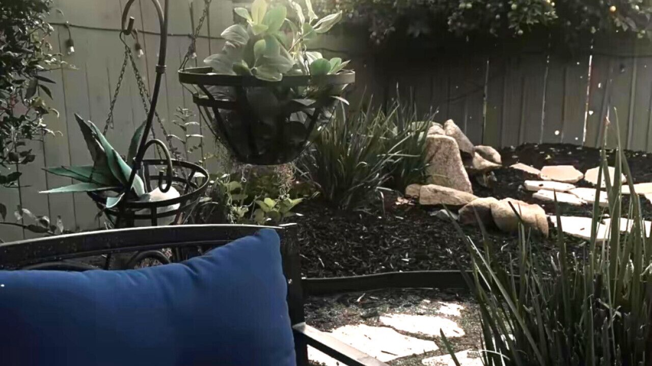 Photo of Outdoor in Clovis
