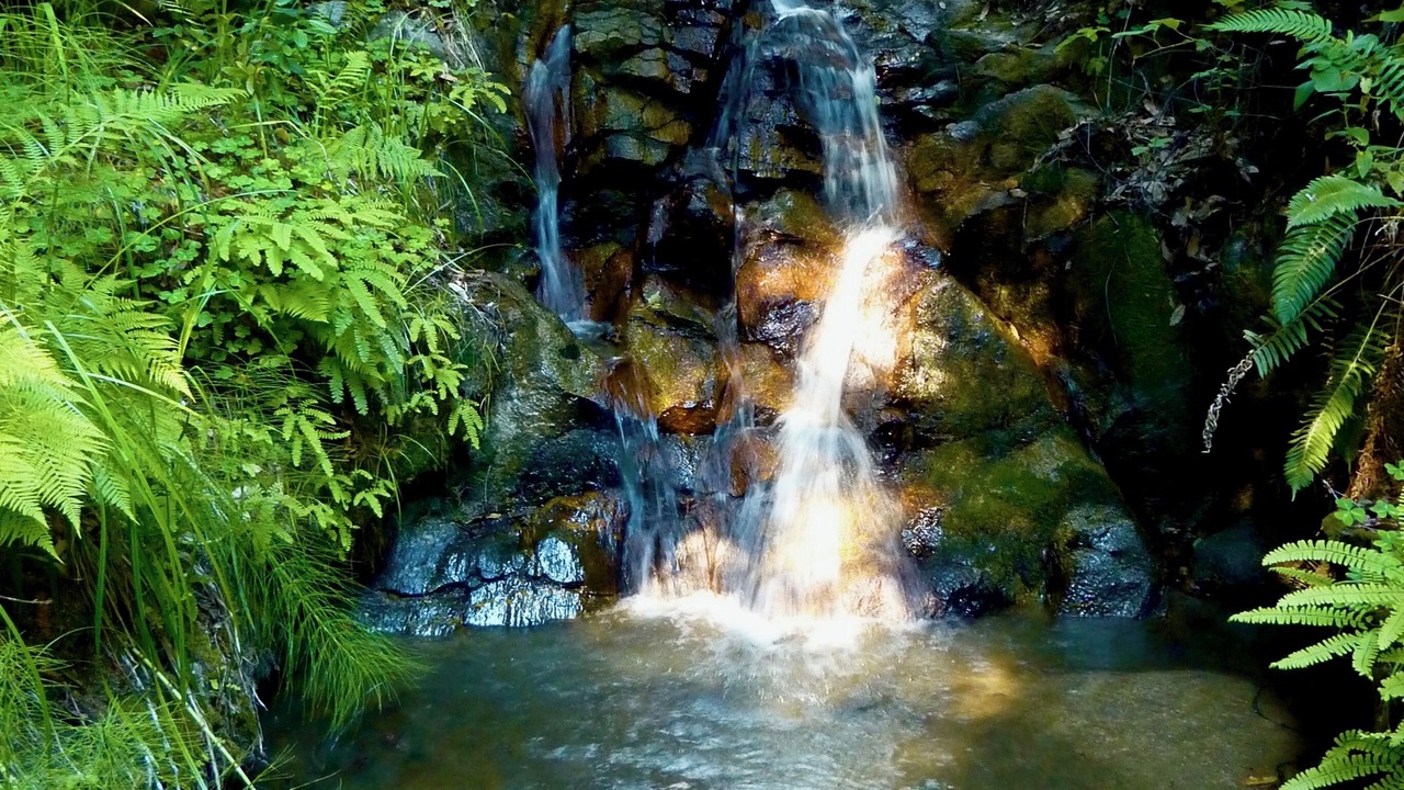Photo of Outdoor in Carmel