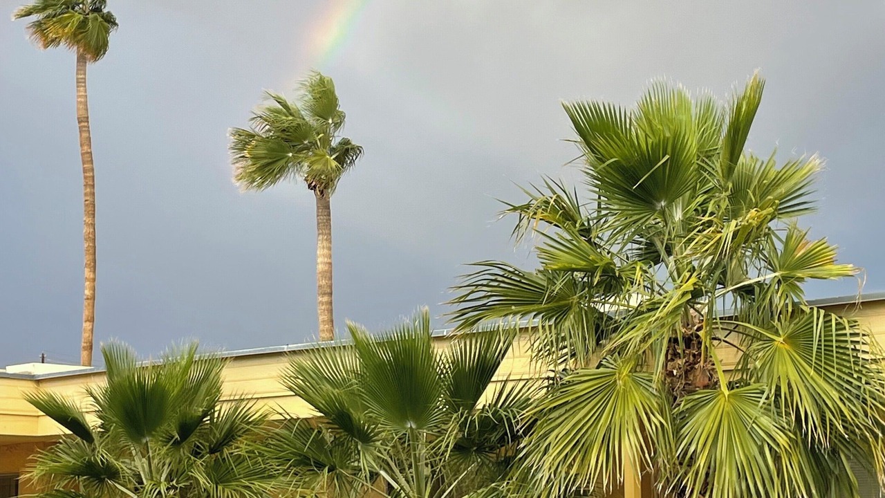 Photo of Outdoor in Lake Havasu City