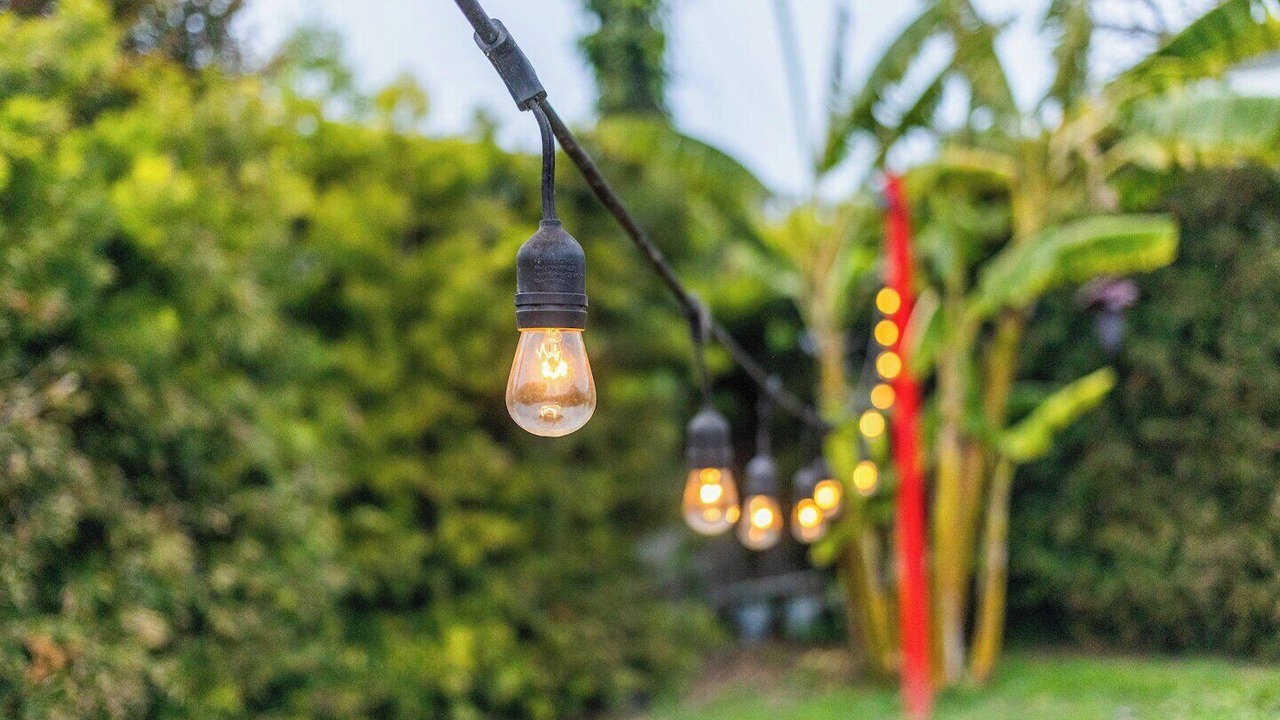 Photo of Outdoor in Mar Vista