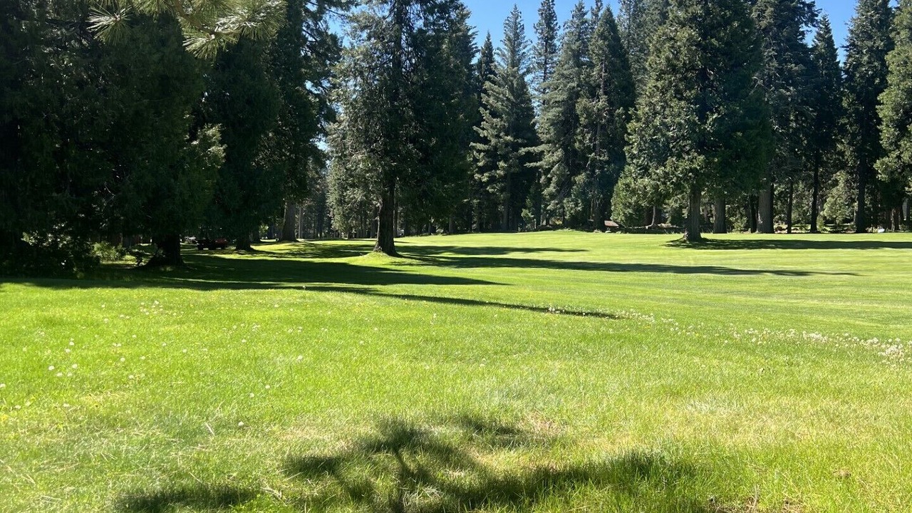 Photo of Others in Lake Almanor West