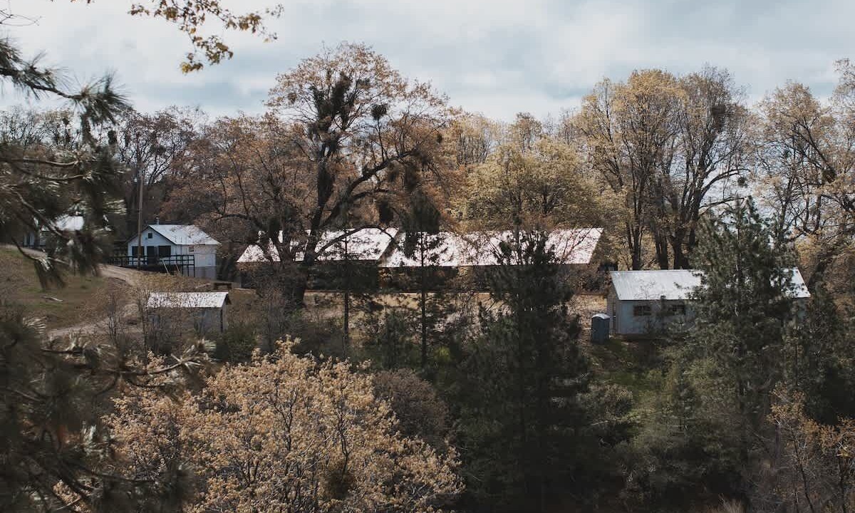 Photo of Others in Dunlap