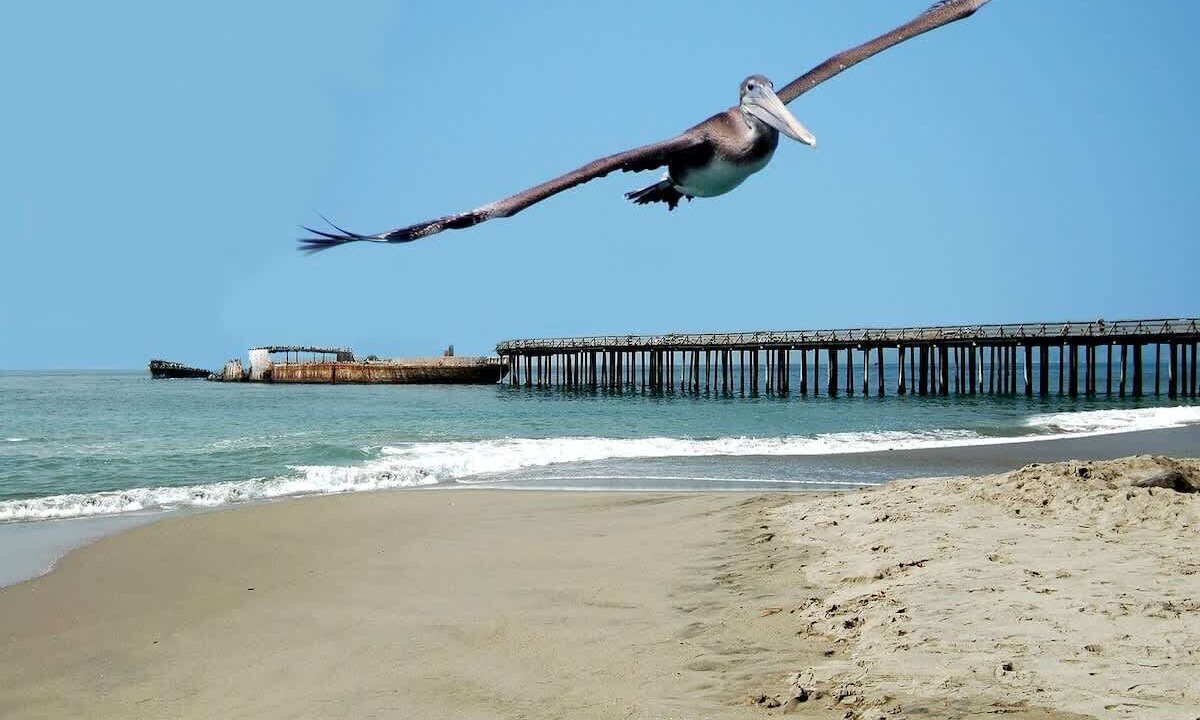 Photo of Others in Rio del Mar