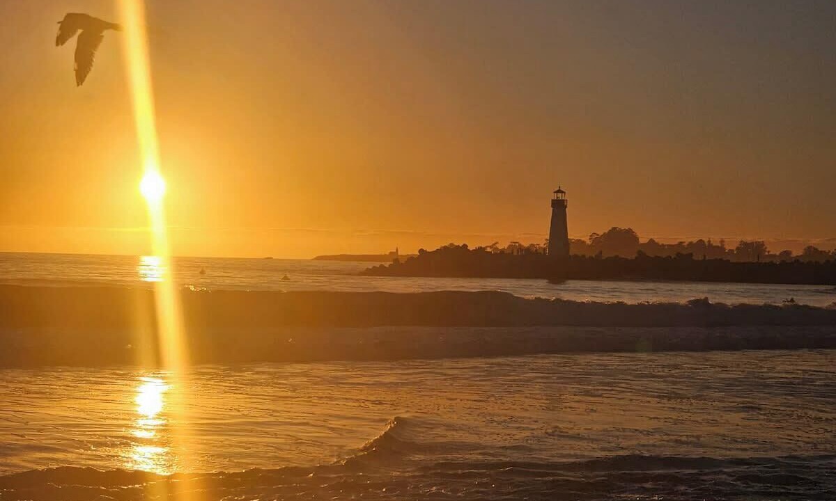 Photo of Others in Rio del Mar
