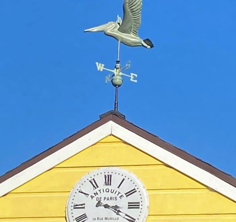 Photo of Outdoor in Westside Santa Cruz