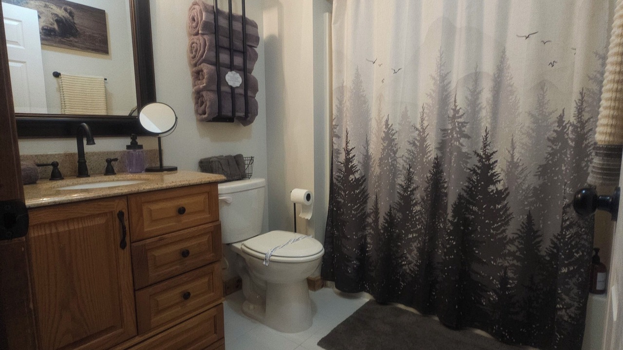 Photo of Bathroom in Twain Harte
