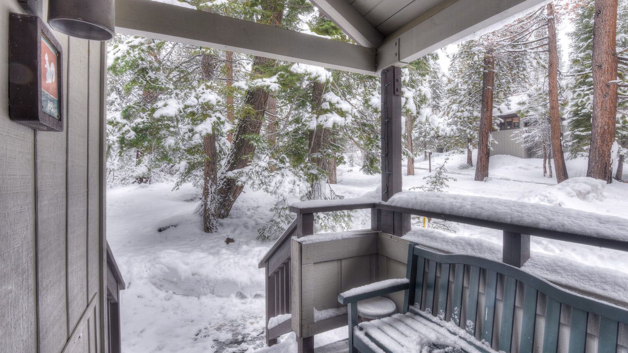 Photo of Others in Tahoe Woods