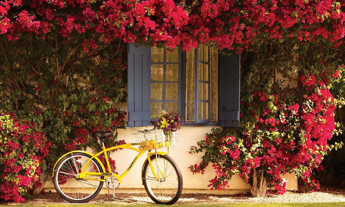 Photo of Outdoor in La Quinta